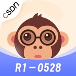 CSDN - 已接入DeepSeek R1-0528版