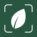 Plantyx-Identificar Plantas AI