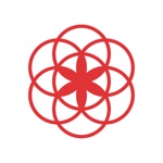 Clue Calendario Menstrual