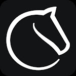 Lichess