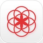 Clue 生理管理アプリ|妊活・排卵日・基礎体温・妊娠