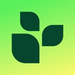 Lifesum: Kalorien Zähler AI