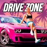 Drive Zone: Auto Spiele