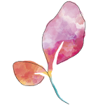 Minha Gravidez por Paula