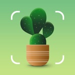 Plantum: Pflanzen Erkennen