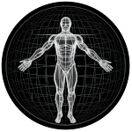 BodBot AI Personal Trainer