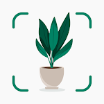 Plantify: Plante Identifiant