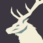 Elk - 여행 환율 변환기
