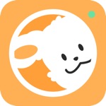 도기보기: AI 펫 CCTV, 행동감지, 강아지, 펫캠