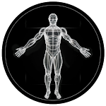 BodBot IA Entrenador Personal