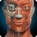 Anatomy Learning - 3D Anatomy