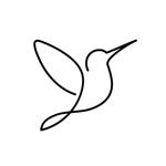 Muse – Éditeur Reels & Stories