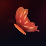 Beauty AI - 愛の絵