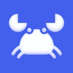 Storm Sniffer - Packet Capture