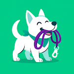Hundeo - Education chien