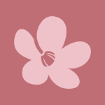 Chula - Belleza sin límites