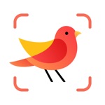 Picture Bird - Reconocer Aves