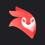 Videoleap: Lightricks의 영상편집 앱