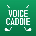 보이스캐디 X APL골프