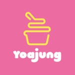 요거트아이스크림의정석