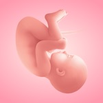 Pregnancy Tracker・App by Moms