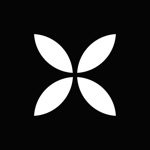 Qonto: Plus qu’un compte pro