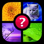 ¡Adivina la palabra! ~ 4 fotos