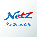 Netz Connect