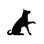 犬の翻訳者:犬のためのゲーム