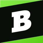 Brainly: AI Homework Helper