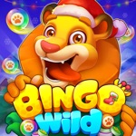 Bingo Wild - Bingo Clássico
