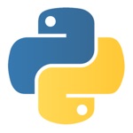 Python Code Interpreter Dev