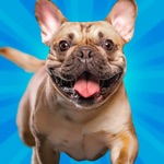 Pocket Paws: Dog Champions