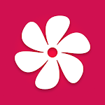 Gallery: Photo Gallery, Album