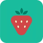 BLW Meals: Starting Solids