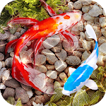 3D Fish Tank Live Wallpaper