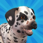 Pocket Paws: meus lindos cães