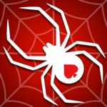 Spider Solitaire: Carte