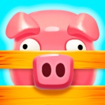 Farm Jam: Juego de Animales