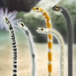 힐링의 찐아나고 육성 게임