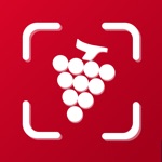 Vino and vinoseleccion Wine ID