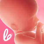 Rastreador Gravidez - Lifeing