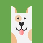 약 알림 태양이