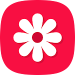 Galeria - galeria de fotos