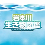 岩本川生き物図鑑