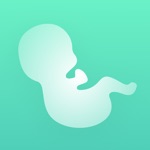 Wehen - Wehenzähler 9m