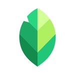 Snapseed: editor de fotos