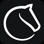 Lichess